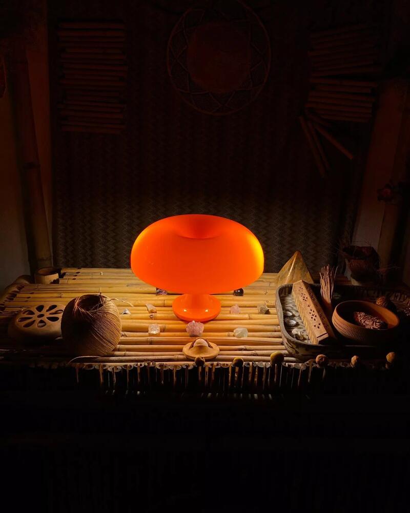 Italian Designer Led Mushroom Table Lamp